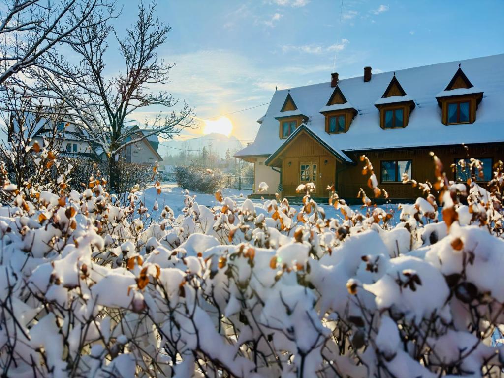 un vol d'oiseaux dans la neige devant une maison dans l'établissement Pokoje gościnne Siodemka, à Zakopane