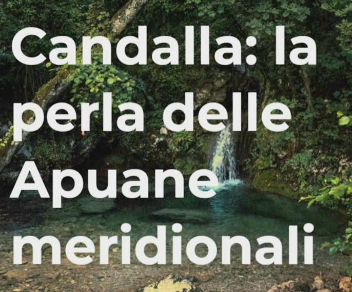 Fotografie z fotogalerie ubytování B&B Candalla v destinaci Camaiore