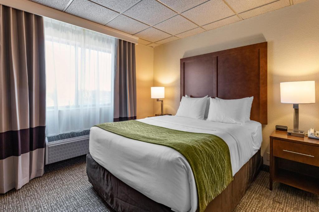 Comfort Inn & Suites Gateway to Glacier National Park - Suite Con Cama Grande Y Sofá Cama - No Fumadores
