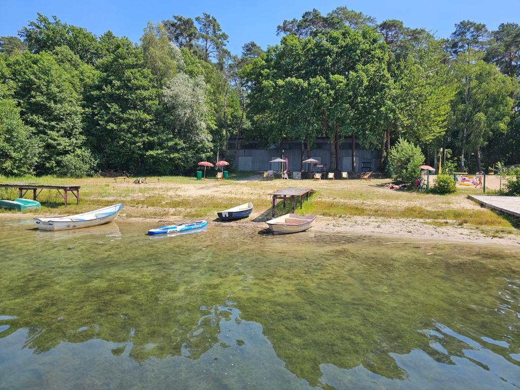 a group of boats sitting on the shore of a lake at Archimedes Tourist Sp. z o.o. in Międzyrzecz