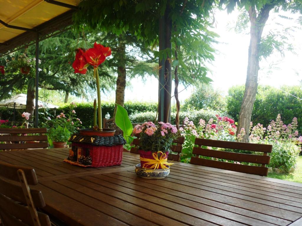 Zahrada ubytování B&B Casale Ginette