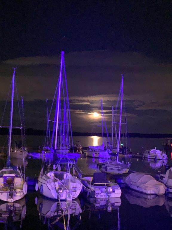 Příroda nedaleko ubytování na lodi