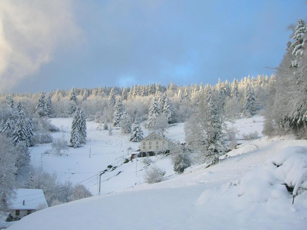 a house on a hill covered in snow at Gîte familial à Cornimont avec Wifi et parking - FR-1-589-84 in Cornimont