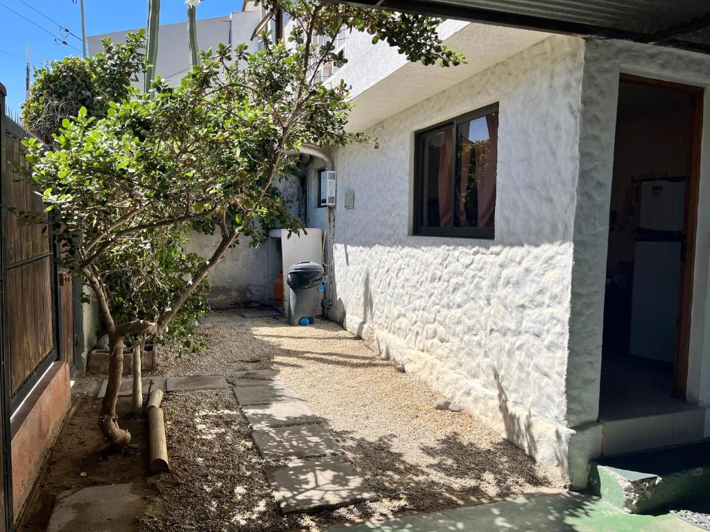 Casa Colibrí - Tongoy - Casa De Cinco Dormitorios
