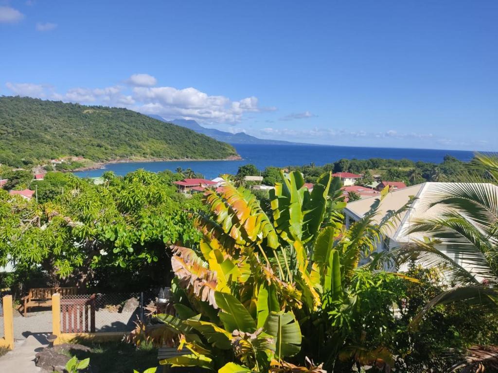 a view of the ocean from a resort at Cottages Les 3 Rochers - Vue sur mer in Terre-de-Bas