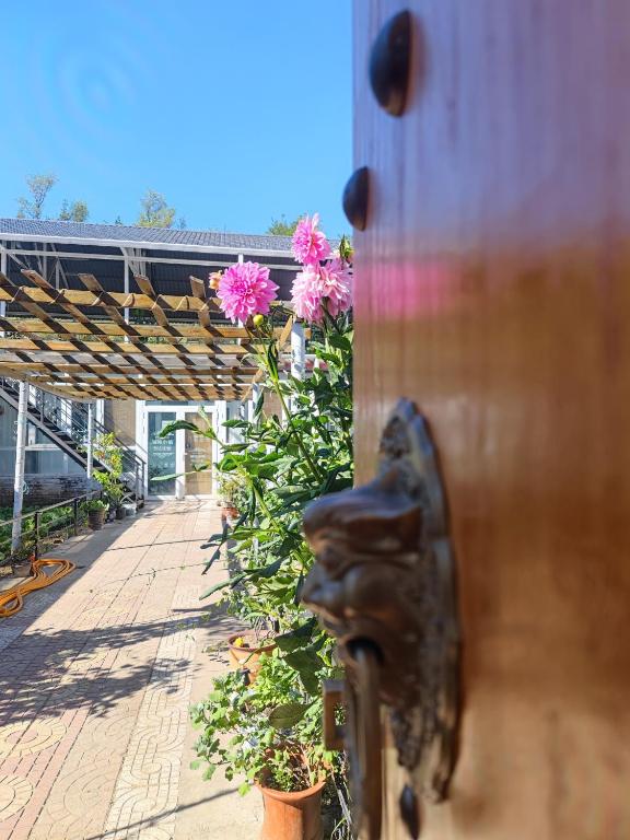 Domácí mazlíčci ubytovaní s hosty v ubytování Gubeikou Great Wall Chengtaoxiaozhu Boutique Homestay