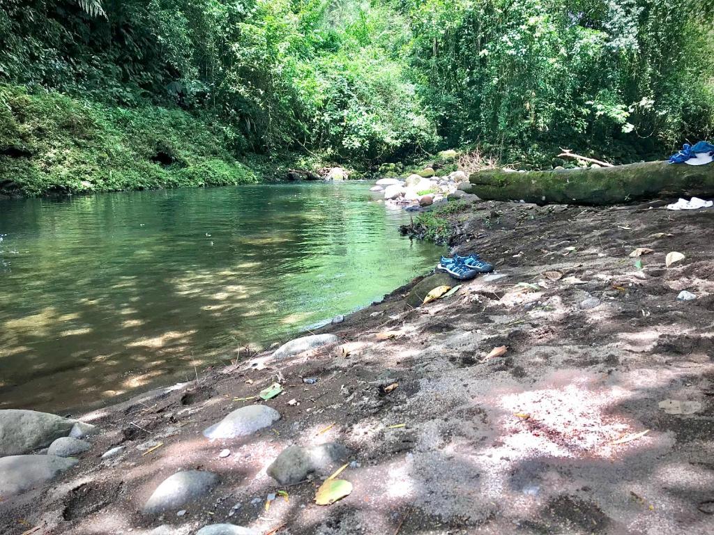 a river with a tree laying on the shore at Cabaña Río Blanco Guapiles Costa Rica in Guápiles