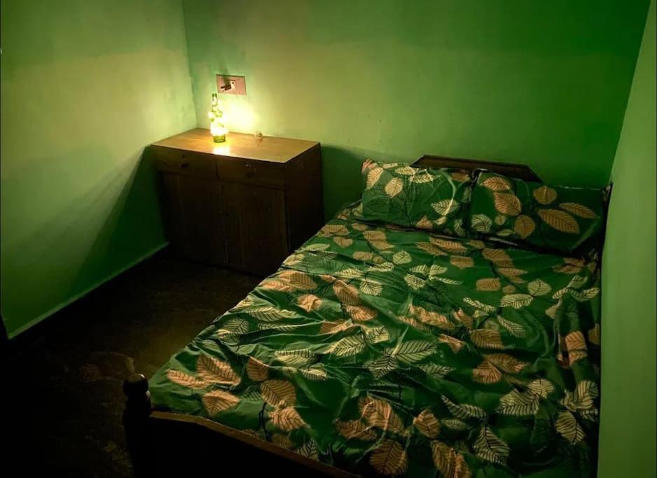 a green bedroom with a bed and a lamp on a dresser at Roof top couple stay cozy in Mysore