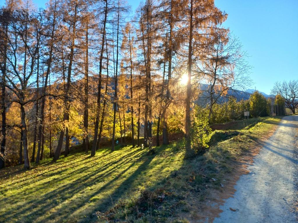Příroda nedaleko apartmánu
