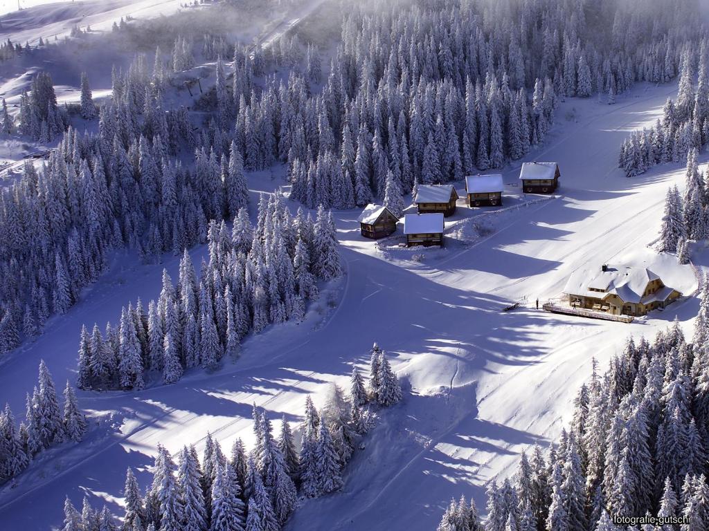 MoselebauerAlm v zimě