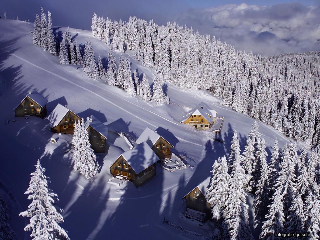 eine Luftansicht einer Kabine im Schnee in der Unterkunft Almhütten Moselebauer in Klippitztorl