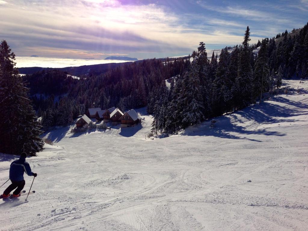 MoselebauerAlm v zimě