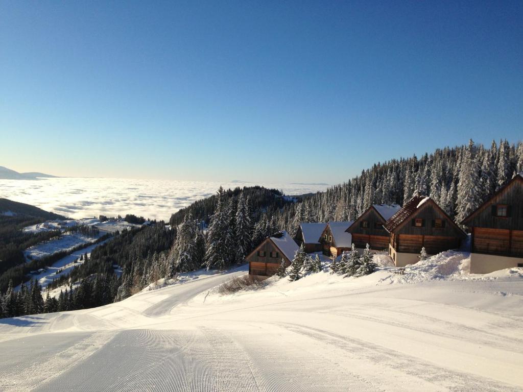 MoselebauerAlm v zimě