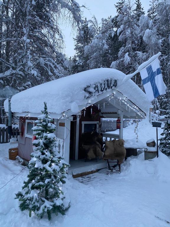 Villa Shaman v zimě
