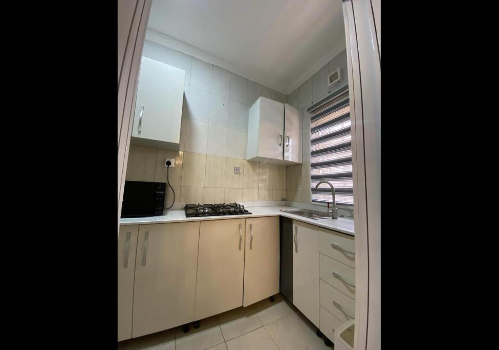 Kuchyň nebo kuchyňský kout v ubytování Exquisite Lekki Phase1 Apartment
