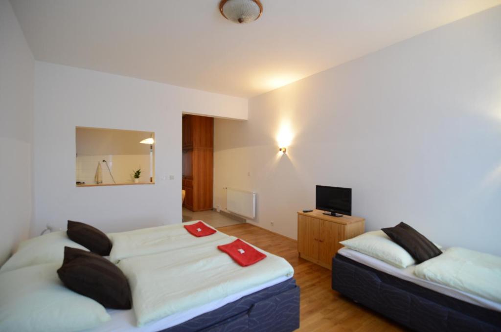 a room with two beds and a television in it at Apartments Karlin in Prague
