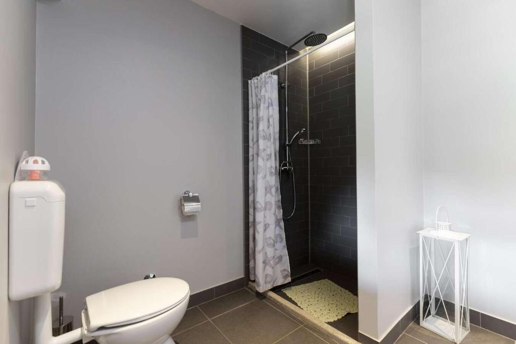 Kúpeľňa v ubytovaní Villa Viscum in Central Istria for 8 persons with large garden - pet friendly