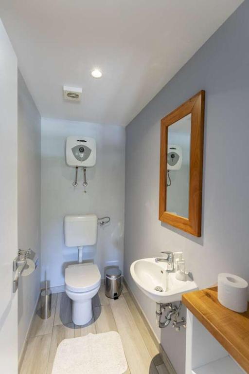 Kúpeľňa v ubytovaní Villa Viscum in Central Istria for 8 persons with large garden - pet friendly