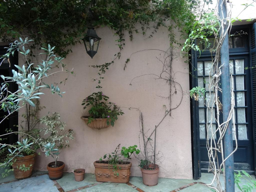 Zahrada ubytování Posada de la Flor