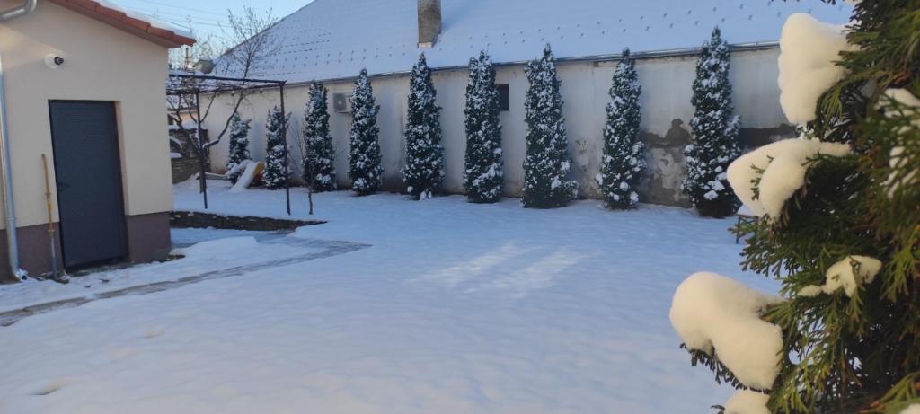 Apartmani Kačara during the winter
