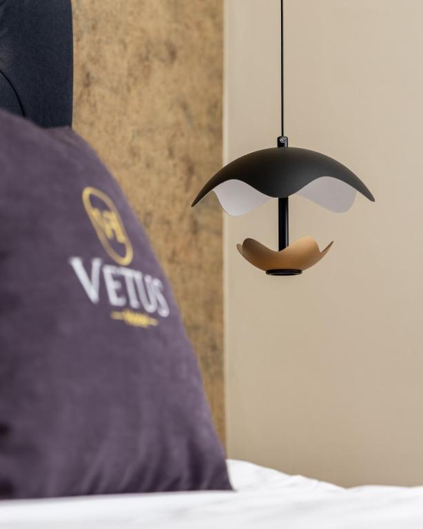 Postel nebo postele na pokoji v ubytování Vetus Hotel