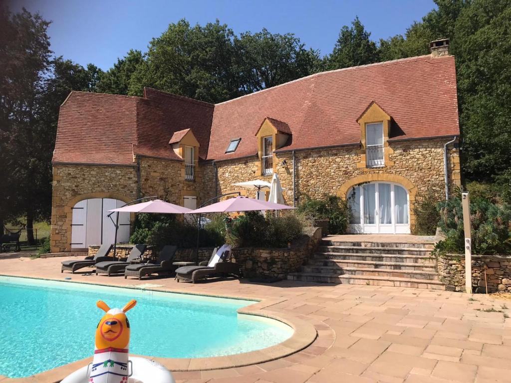 a house with a swimming pool in front of it at Luxury Chateau w. pool & hot tub in Dordogne in Cazenac