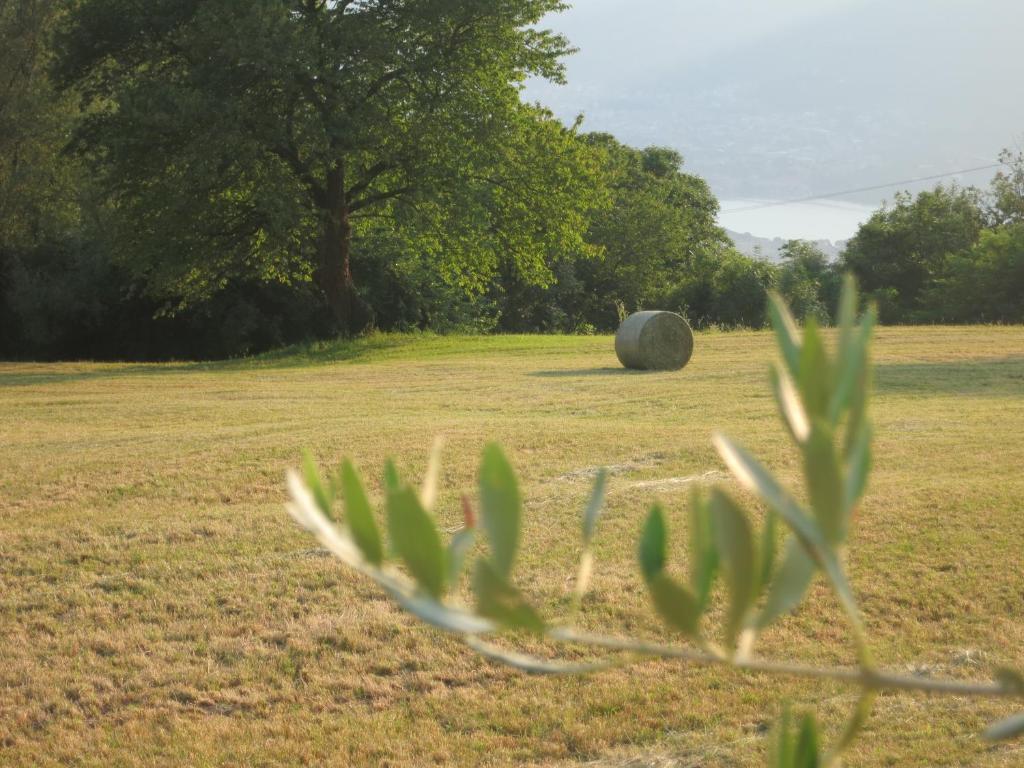 Ogród w obiekcie Agriturismo Deviscio