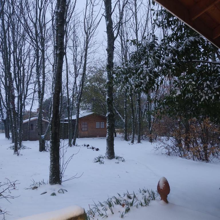 La Frênaie v zimě