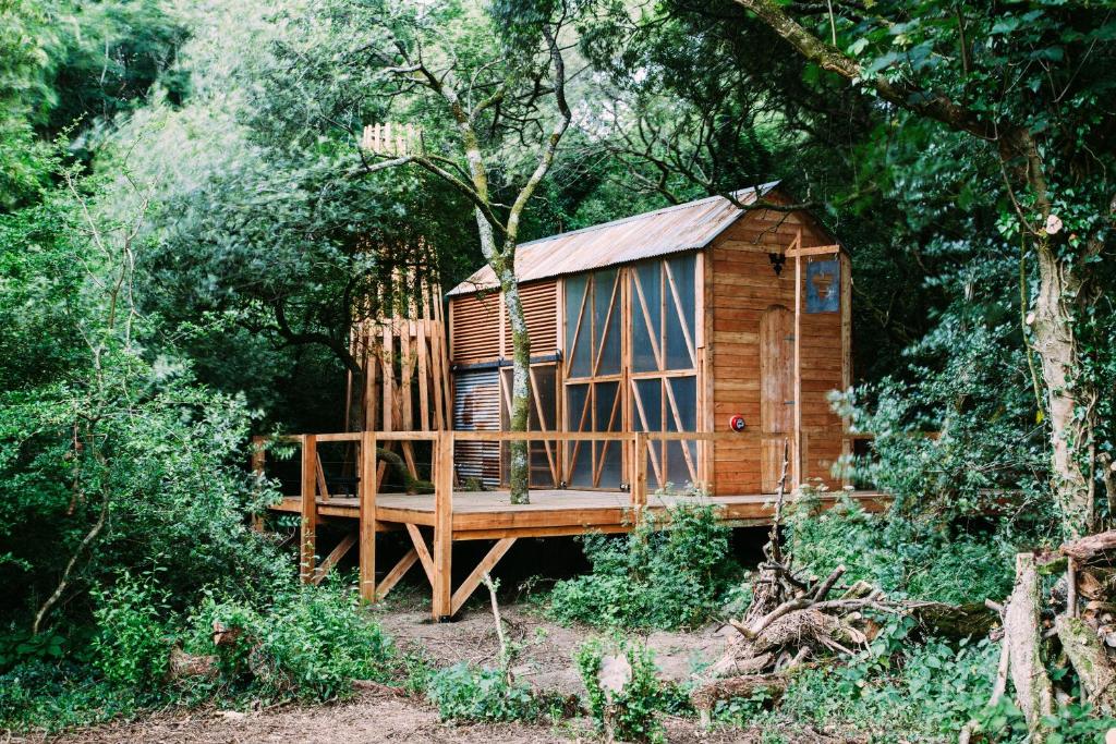 una cabaña de madera en medio de un bosque en Architectural Danish Cabin surrounded by nature en Treknow