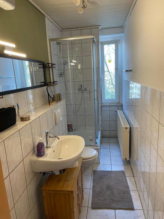 y baño con lavabo, ducha y aseo. en Stylisches Appartement "Johanna" in Weißenfels en Weißenfels