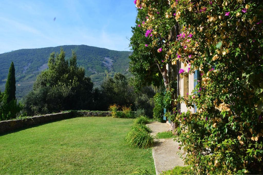 a house with a green yard with flowers at Collerosso Appartamenti per vacanze in Calci