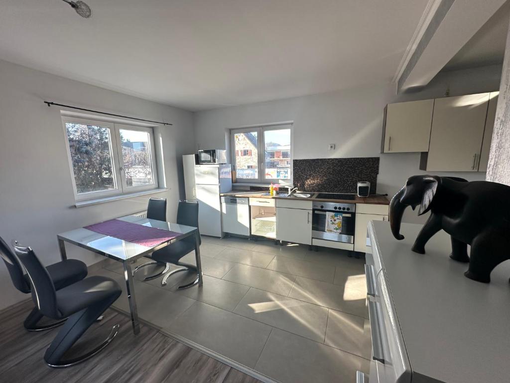 Kuchyň nebo kuchyňský kout v ubytování city apartment