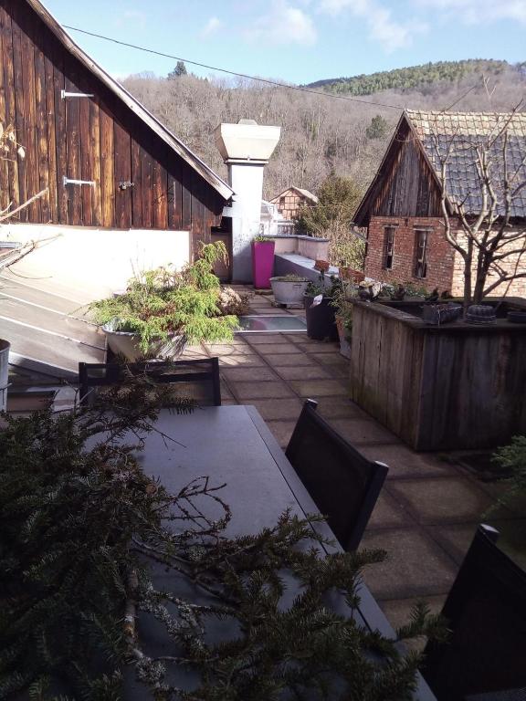 "Côté nature", appartement cosy avec terrasse au cœur de Munster – photo 22