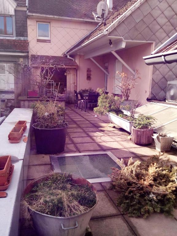 "Côté nature", appartement cosy avec terrasse au cœur de Munster – photo 23