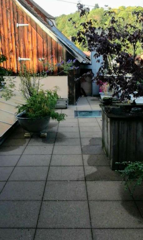 "Côté nature", appartement cosy avec terrasse au cœur de Munster – photo 24