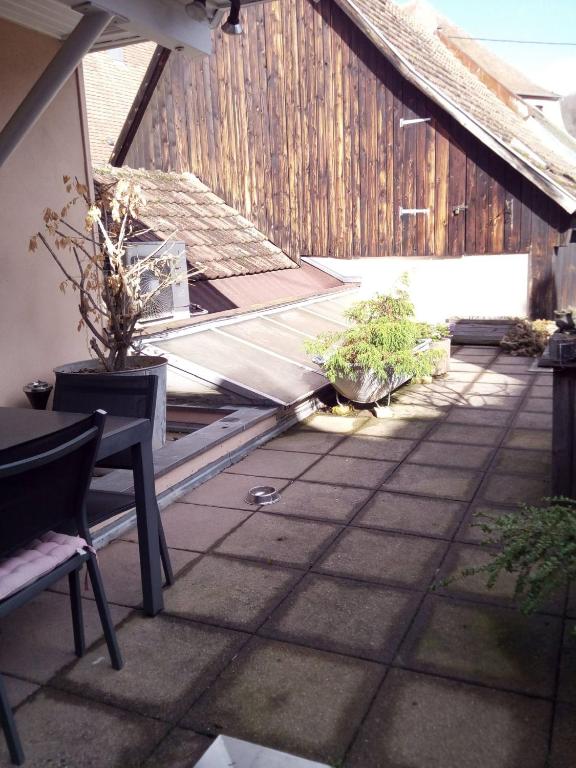 "Côté nature", appartement cosy avec terrasse au cœur de Munster – photo 26