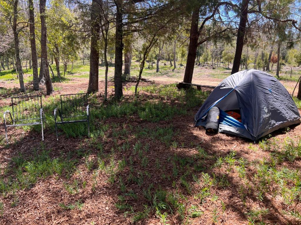 ein Zelt inmitten eines Feldes mit Bäumen in der Unterkunft Camping don Zacarías in El Bolsico