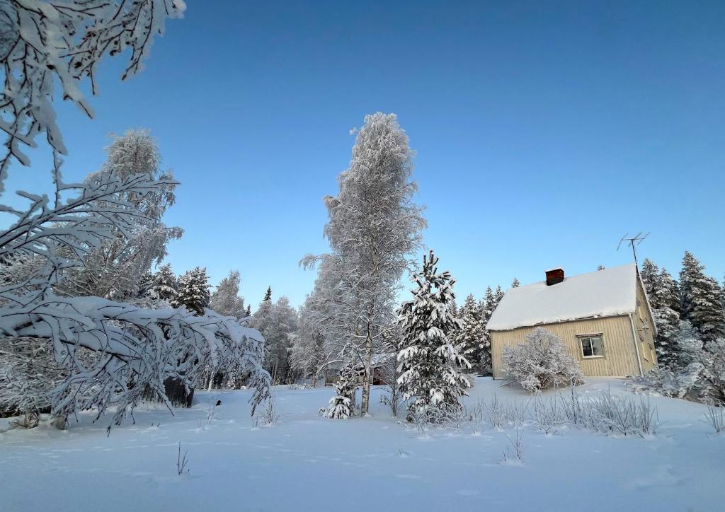 a cabin in a snow covered field with trees at House in the middle of forests and lakes 