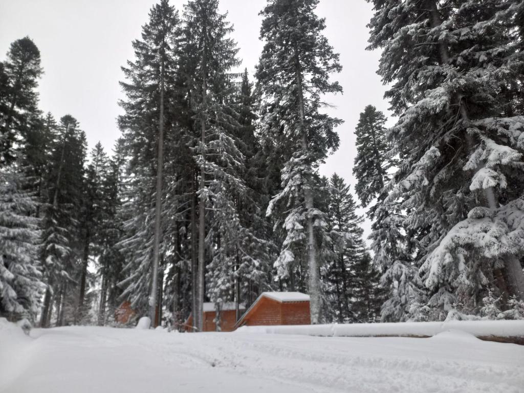 Chalet Hay Huy v zimě