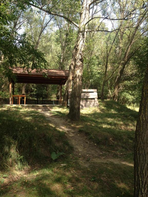 Příroda nedaleko hostelu