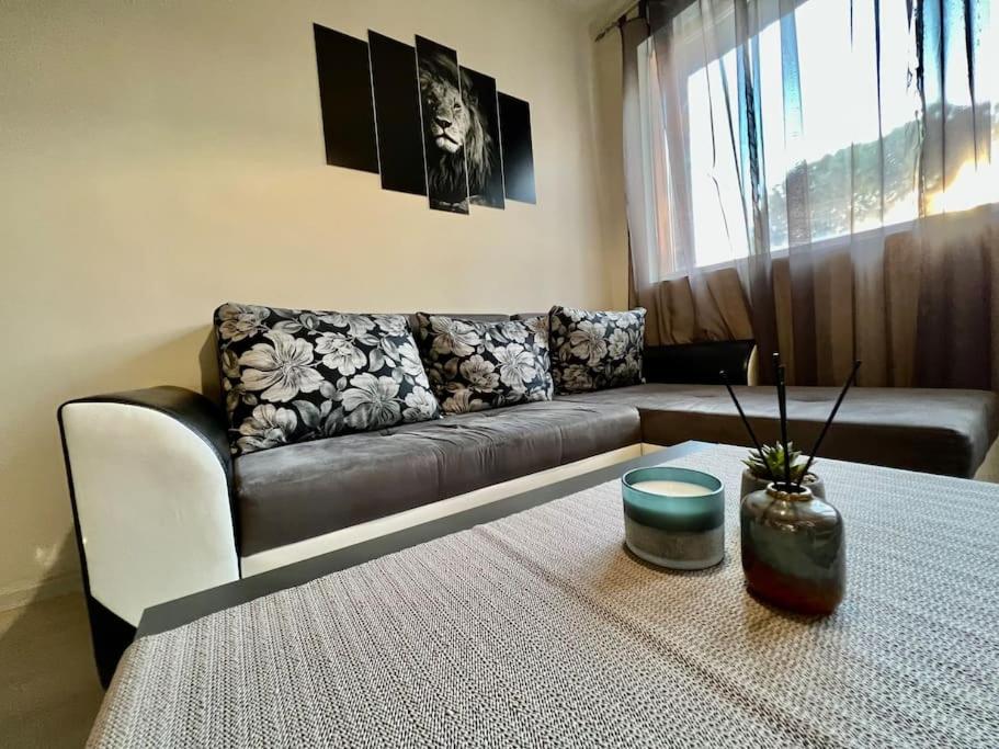 Sof apartment’s - Hizvo