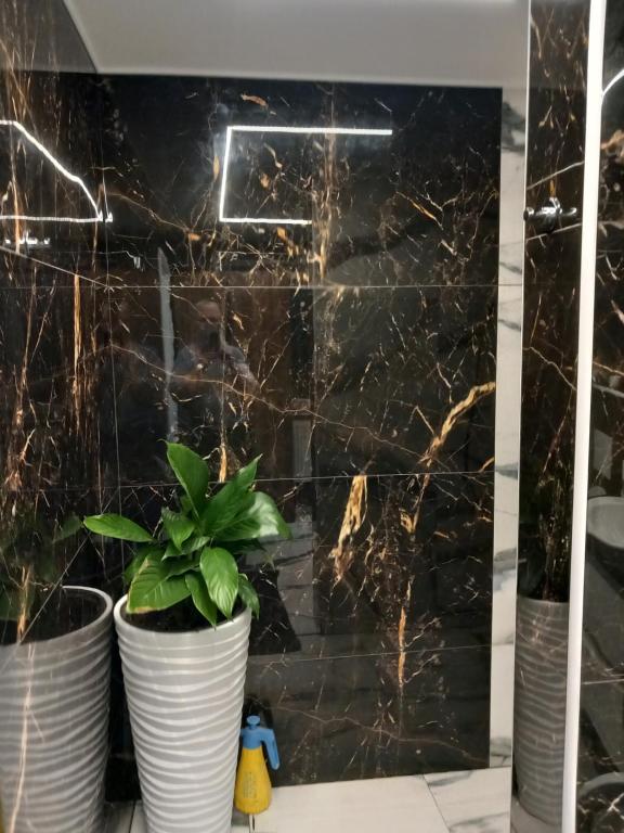 dos plantas delante de una pared de mármol negro en apartmánydelu en Blansko