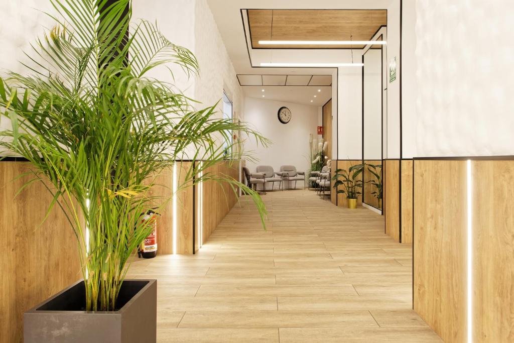 Green House Hotel - Resim 9