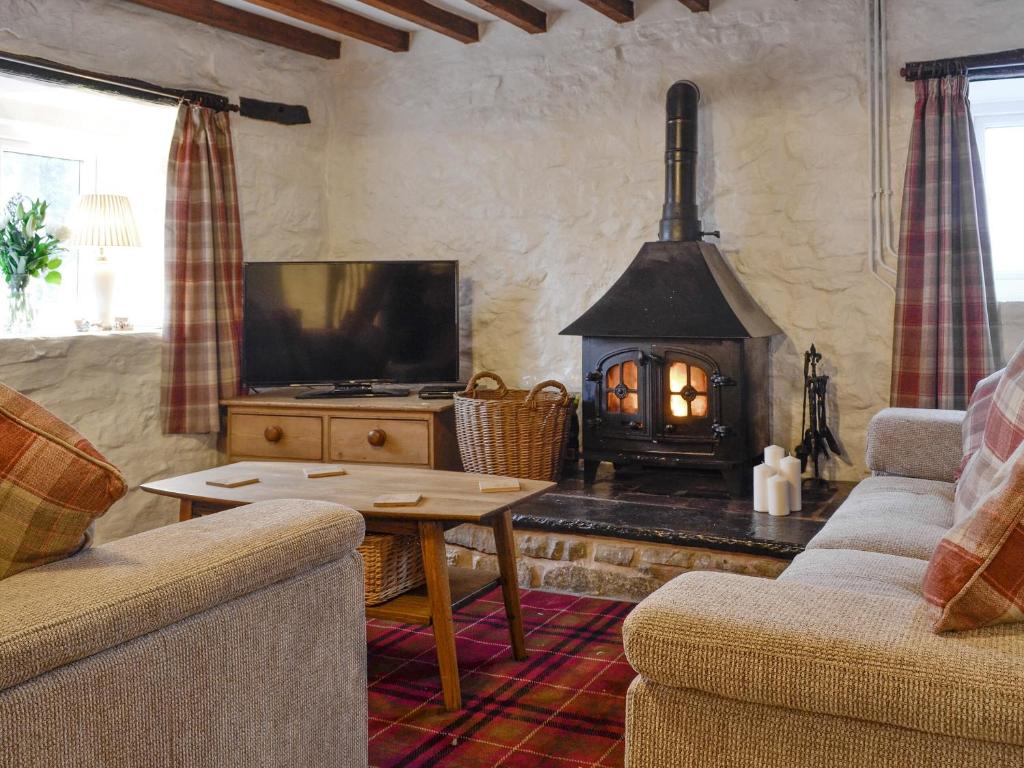 a living room with a fireplace and a tv at Wren Cottage in Cwm