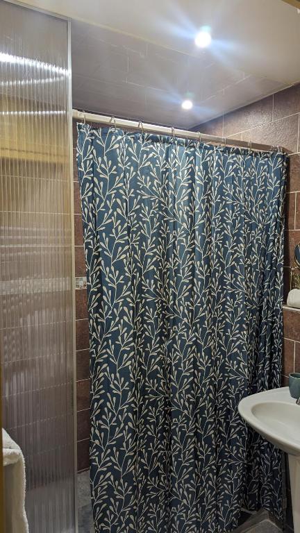 a shower with a blue and white shower curtain in a bathroom at Aux Écuries Des Pres in Nogent-sur-Seine