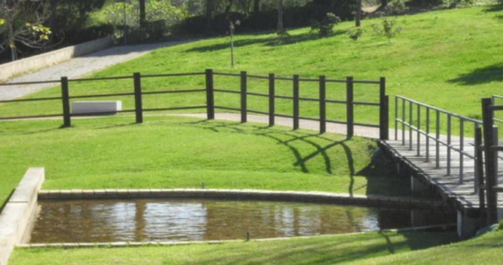 Apartment Belleview - 5