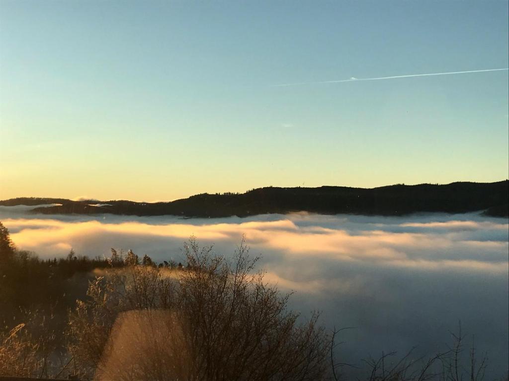 a view of a sea of clouds at sunset at Hôtel Panorama in Munster