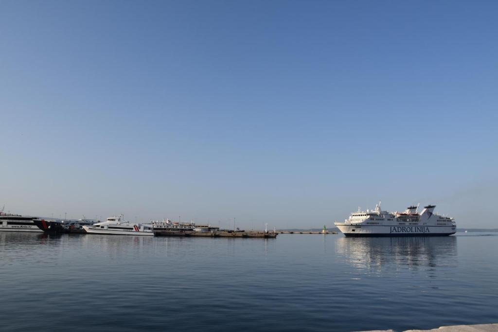 a group of boats docked in the water at Antares Luxury Rooms 2 in Split