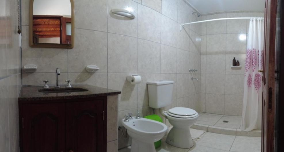 La salle de bains est pourvue de toilettes, d'un lavabo et d'une douche. dans l'établissement Cabañas Kurmi, à Humahuaca