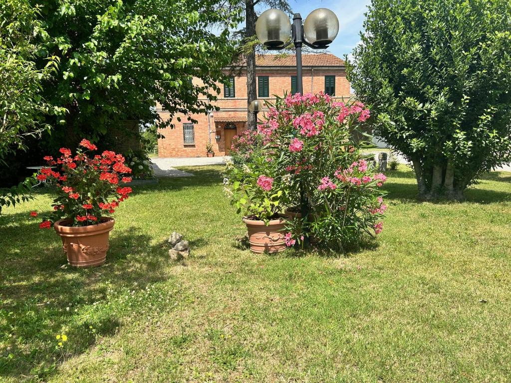 tre piante in vaso nell'erba di fronte a un edificio di La casa delle Querce a San Pietro in Vincoli